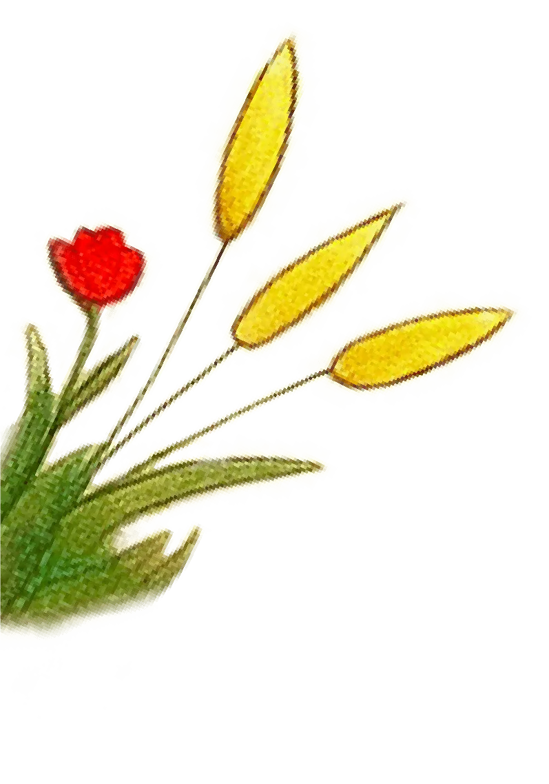 Flor izquierda el charco de las ranas